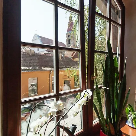 Unique In The Most Heart Of Apartman *